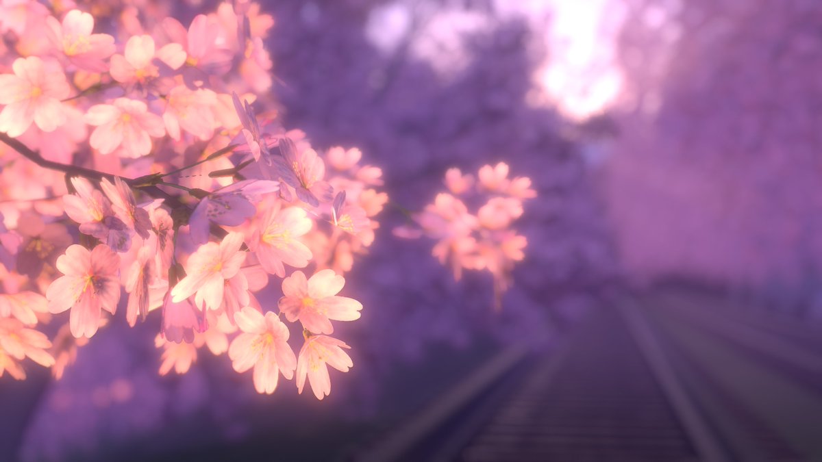 Dislick_OwO's tweet photo. 拍照練習-11 
微調對比 
跟風來拍漂亮的櫻花~ 
World :  Yayoi sakura Incline
Author : 猫屋敷やよい
#VRChat #VRChat_world紹介 
#VirtualPhotography https://t.co/pM004czjlu