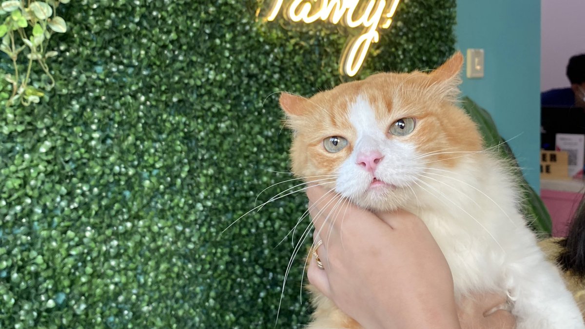 deeditty ★ OPEN JASTIP TIKET tweet media