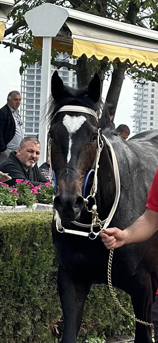 <a href="/kadirkiygir/">kadir kıygır</a> <a href="/KingDavidTR1/">KingDavidTR</a> <a href="/Eseryesil3/">Eseryesil</a> Benzer işler ✌️