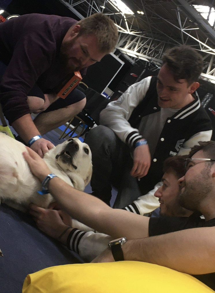 CCCU Games tweet media