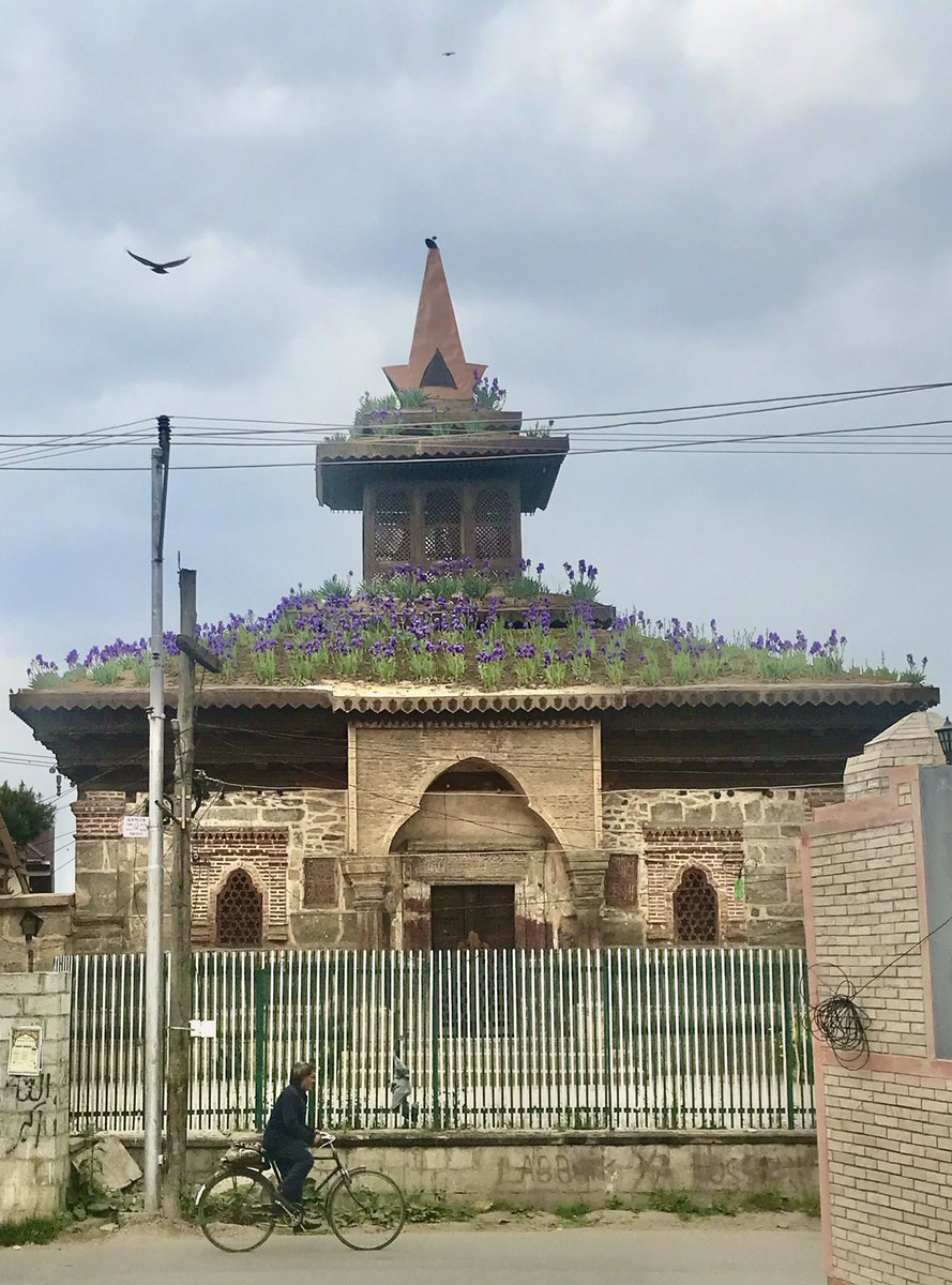 Certain sights lift your heart and break it too. May the grace of this month bring solace to Kashmir. 
Madin Sahib Mosque, Srinagar
#Kashmir #islamicarchitecture #islamicart #greenroofs #burzpash #mosque #heritage