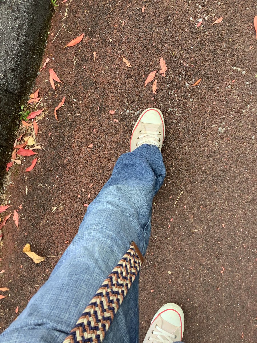 rontwo0508's tweet photo. Okiniiriのこんばーすと一緒に。。

#名護城
#converse
#walking https://t.co/jN4OxNOFOp