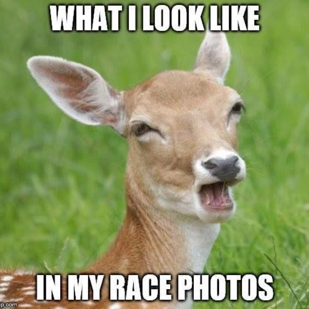 ashworthawards's tweet photo. The face of a champion! 📸 #RunningMeme #RunningMemes #Runners #RunningShoes #RunnersHumor #Memes #AshworthAwards https://t.co/10rT54fsDl