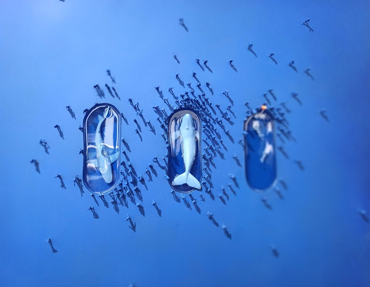 YaelAngel20's tweet photo. Les delphinariums vus par l'artiste Mathieu Lucas. Tellement réaliste. #MathieuLucas. @cestassezfrance https://t.co/PykyuXJjAw