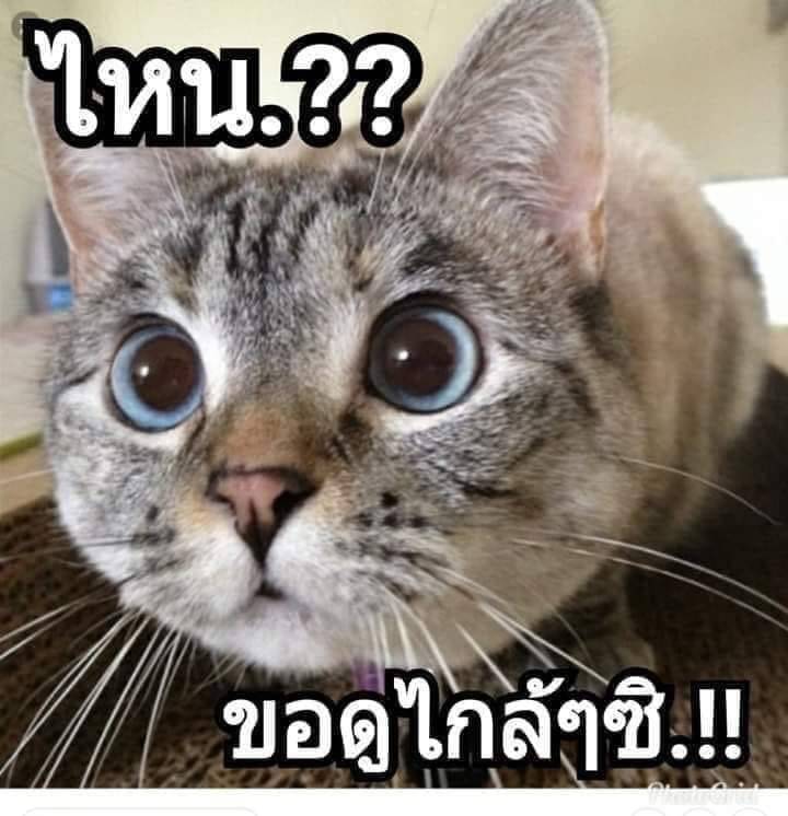dng65586426's tweet photo. @boybig999 https://t.co/GLw5q1OVJt