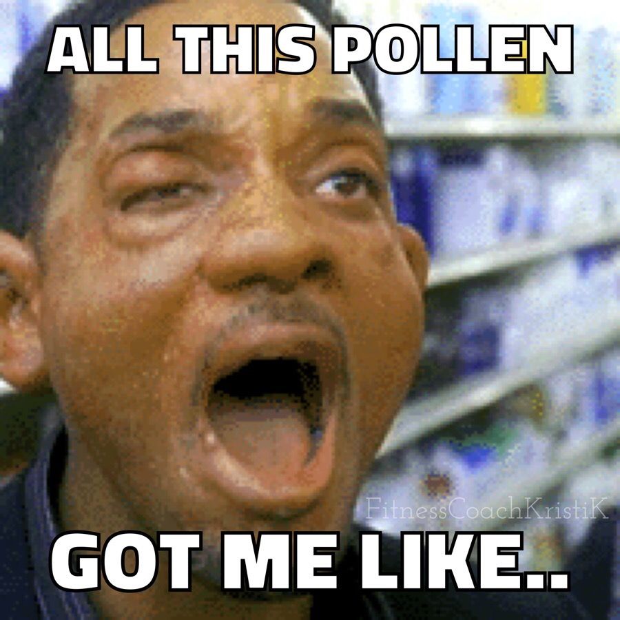 ElementEsthetic's tweet image. Uuugggggghh.  We love spring.  We loathe spring.  Good luck out there!

#pollen #springhassprung #allergies #stlouisweather #elementalesthetics #stlmedspa