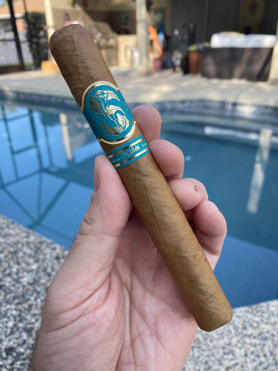 AlexZ625 tweet media