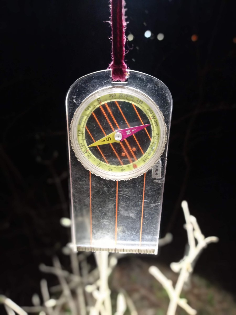 Марья tweet media