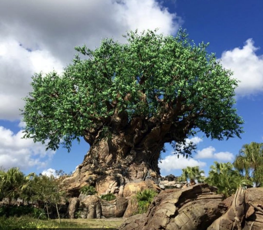 Meri Khoury tweet media