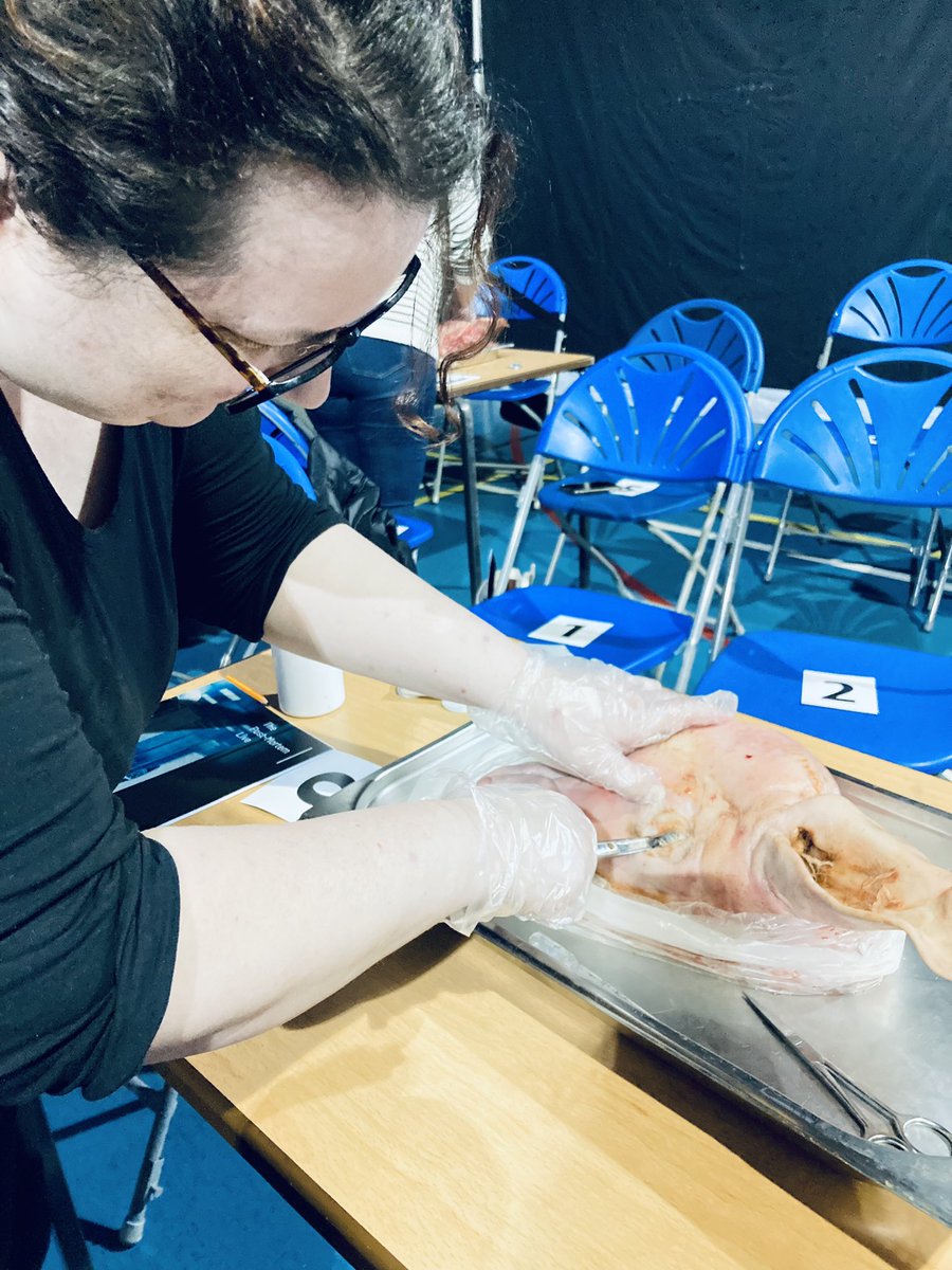 Educational day in Liverpool. Conducting a post mortem. Great learning for how the body works. #handsoneducation