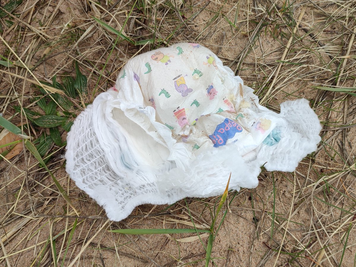 #2MinuteBeachClean. Usual bits of debris along with 4 fresh dog💩bags from this morning's walkers and a soiled nappy with wipes and toilet paper beside it. All in a 'Local Nature Reserve'.
@Plasticsimpact @KeepBritainTidy
@ScotCoastClean #litterpick