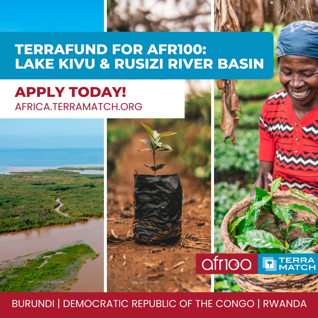 🙋‍♀️Do you have any questions on how to apply to TerraFund for #AFR100? 🌳

Find answers to your questions here, and apply by May 5:bit.ly/3GcLBeX

Submit your application here: bit.ly/3MfjOhO

#GenerationRestoration