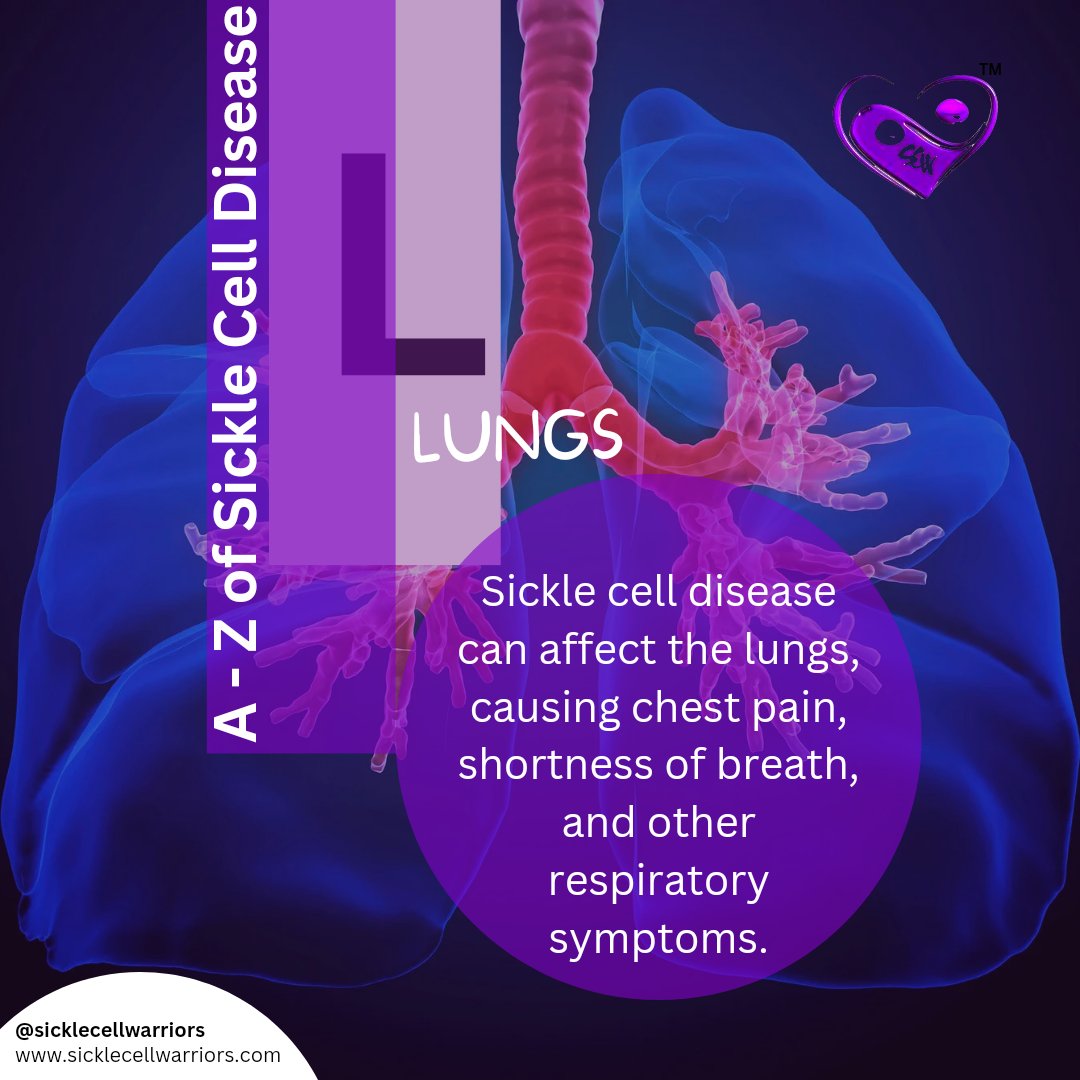 SCWarriorsInc's tweet image. A - Z of Sickle Cell Disease 
L - Lungs
Sickle cell disease can affect the lungs, causing chest pain, shortness of breath, and other respiratory symptoms.

#sicklecellwarrior #sicklecellawareness #sicklecell #SickleCellDisease #mentalhealth #SickleCell #positivemindset #lungs