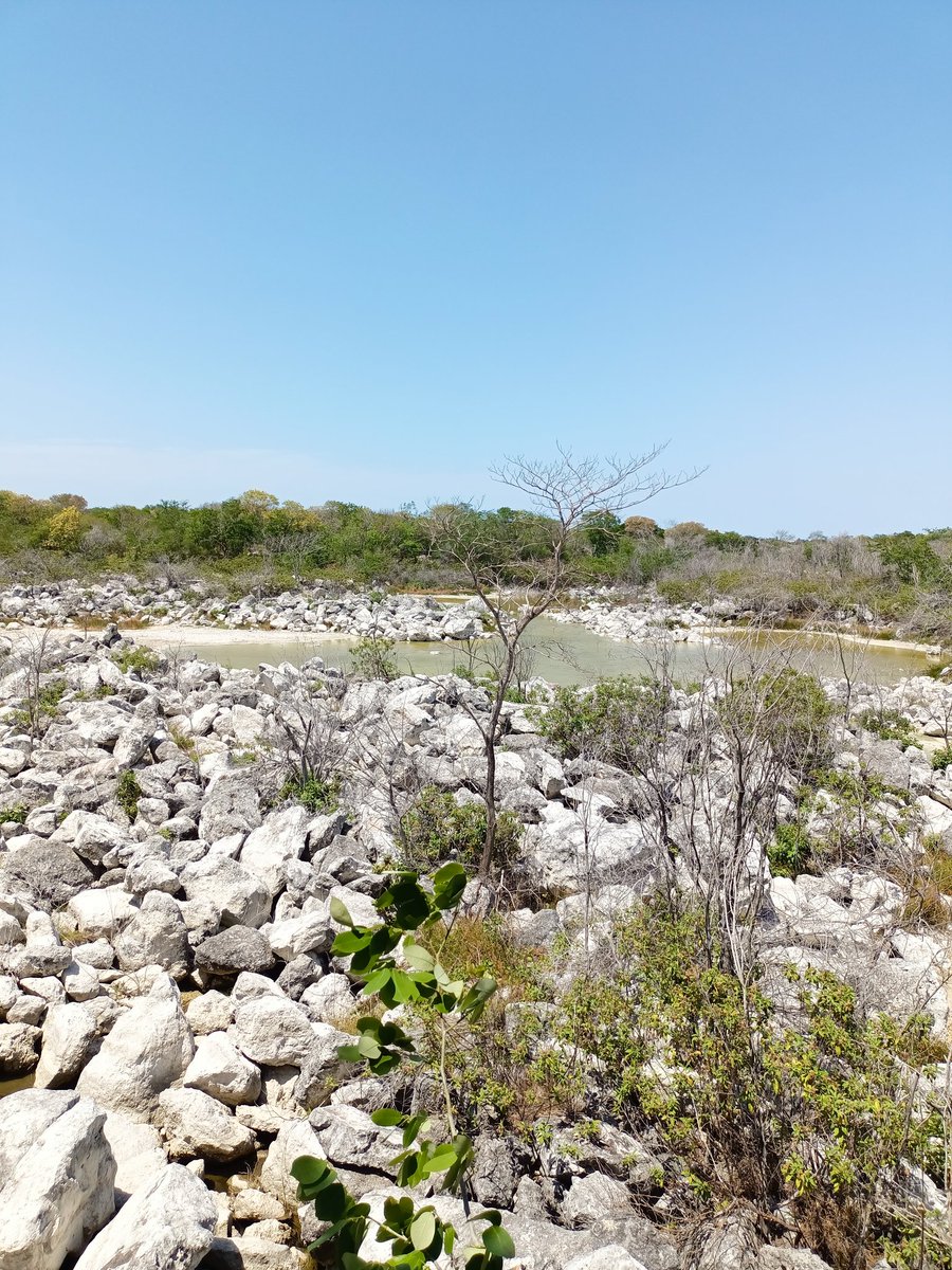 Yucateco Hot tweet media