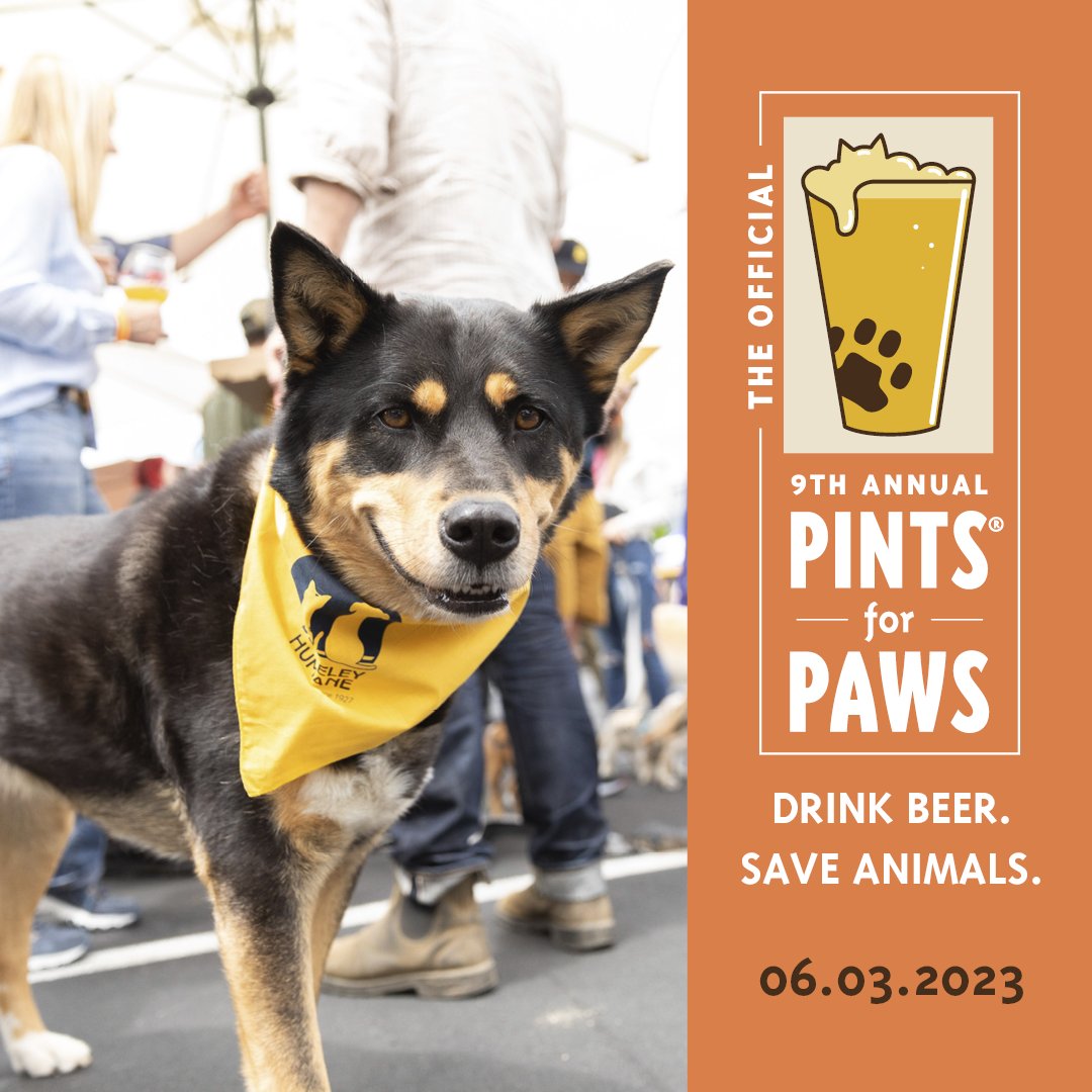berkeleyhumane's tweet photo. Join us at Pints for Paws on June 3rd, &amp; support a great cause while enjoying 30+ beverage providers, food trucks, live music, &amp; more! 21+ event, crowd friendly dogs allowed! Tickets on sale https://t.co/gjnyqYCu5a #berkeleyhumane #pintsforpaws #dogfriendly #dogsandbeer https://t.co/em0hvLEdBO