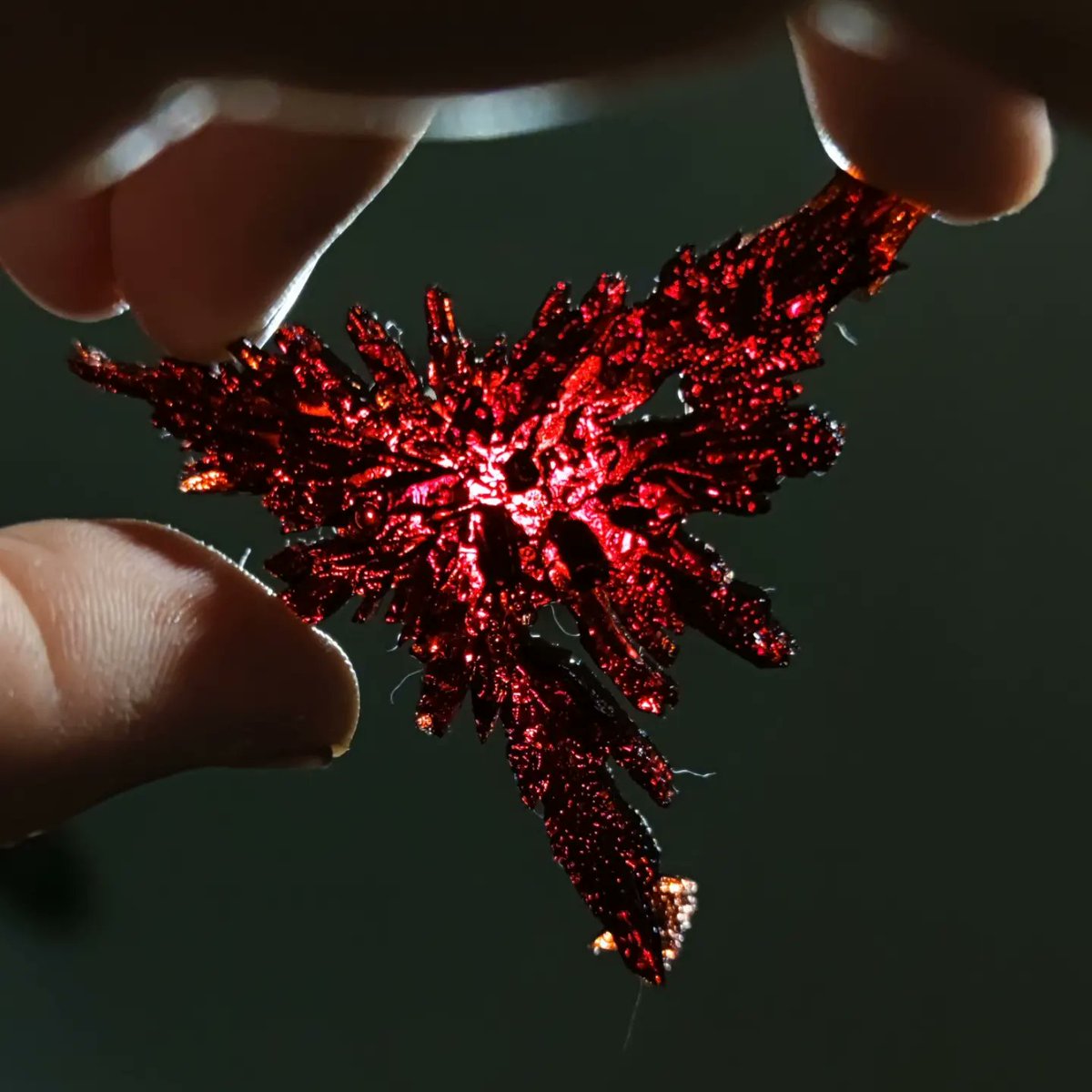 imi-saga on Twitter: 