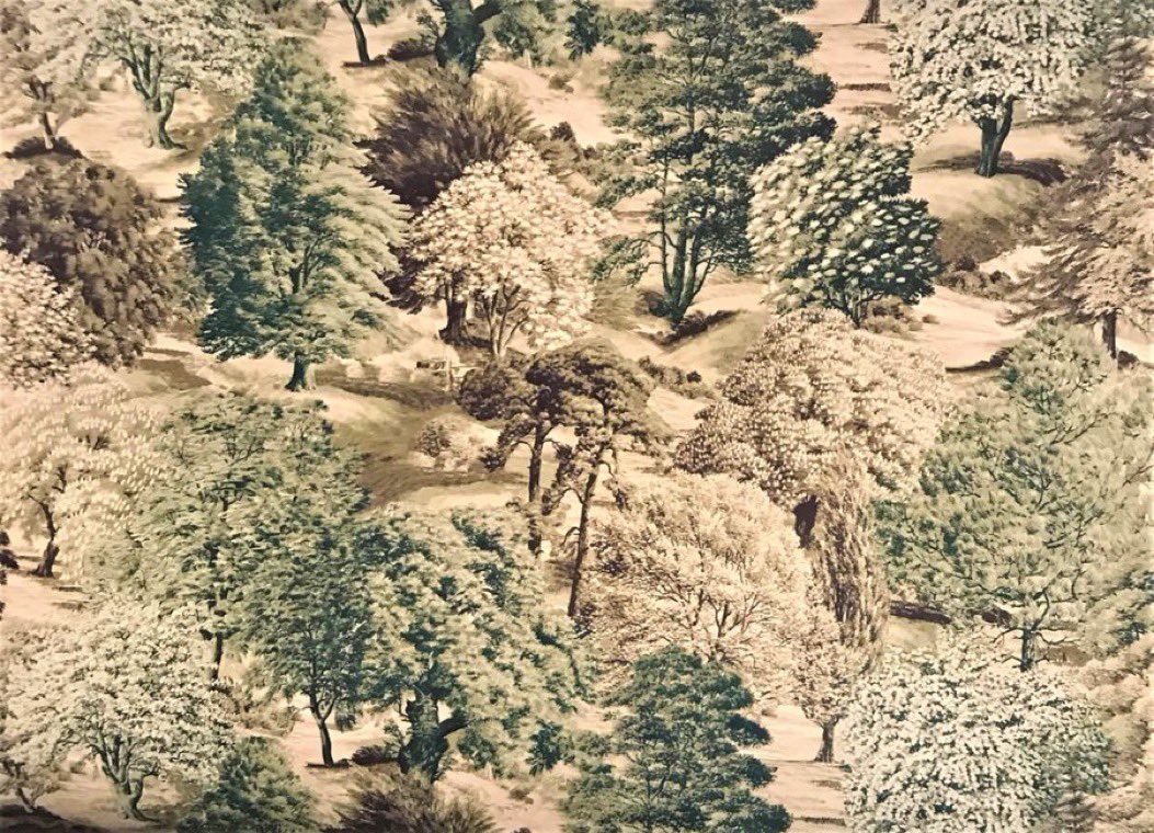 Some years ago, @LibertyLondon stocked a wallpaper based on the Ladybird book ‘Trees’ - and #SRBadmin’s stunning illustrations. 
It was too expensive for me then, and you can’t get it now. But it was rather lovely