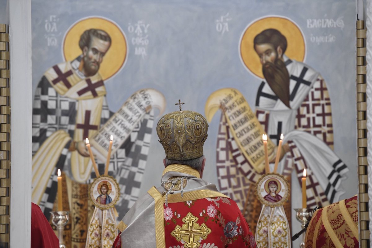 Elpidophoros tweet media