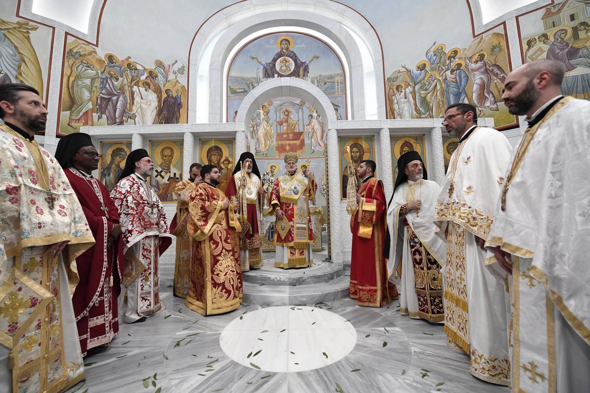 Elpidophoros tweet media