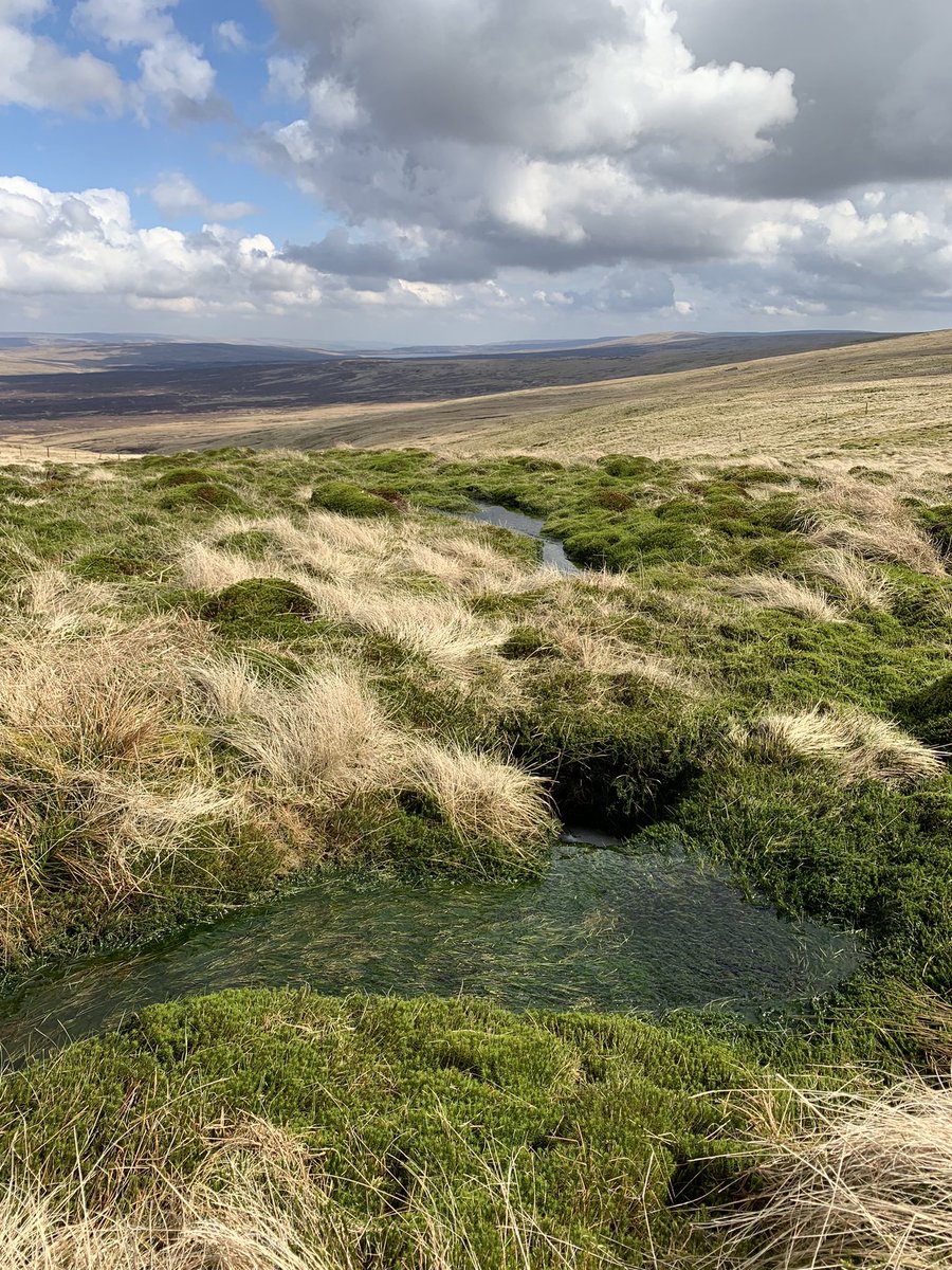 JonKiddd's tweet image. A wander around the back of Cross Fell today to find the source of the River Tees. Apparently this stone marks the official start although managed to find running water a 100yds or so higher up towards the plateau.  Stunning landscape.