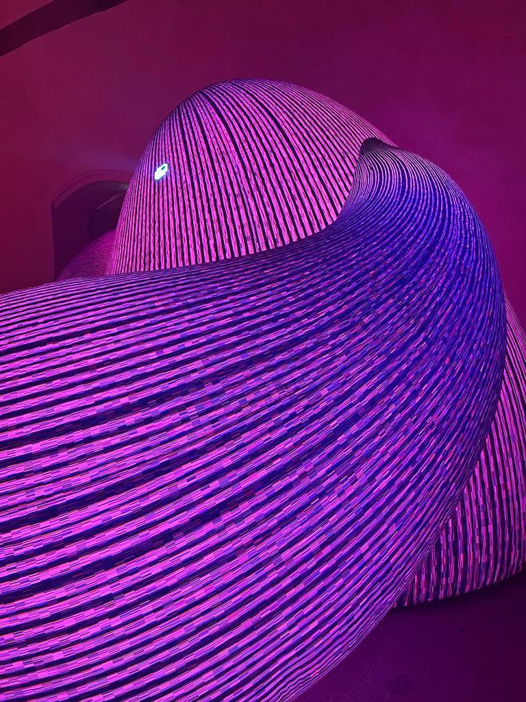 FrancoiseGatel's tweet image. 🎭🖼️ Au Centre d'art @Les3CHA, #Eness, studio australien, nous emmène dans un monde lumineux, ludique et interactif : tout simplement merveilleux, comme un chemin du bonheur @chateaugiron @FrancePcc @bernstephane