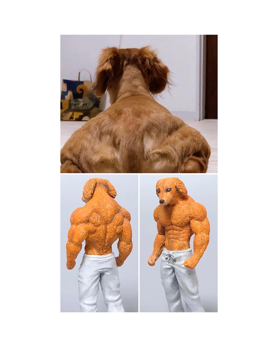RocknTech's tweet photo. Entre 1 a 4, qual você achou mais legal?

📸: @meetissai

#art #arte #engraçado #funny #bizarro #bizarre #pet #animais #animals https://t.co/0wy0Z8tbWY