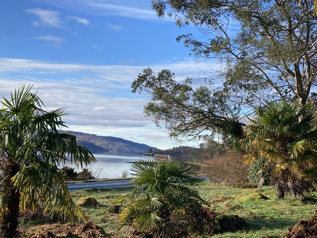 Garvachy11's tweet photo. @DrRLofthouse Argyll is beautiful. A tempting view from Loch Fyne. #myhome #alwaysargyll #abplace2b https://t.co/G5xldBnvZi
