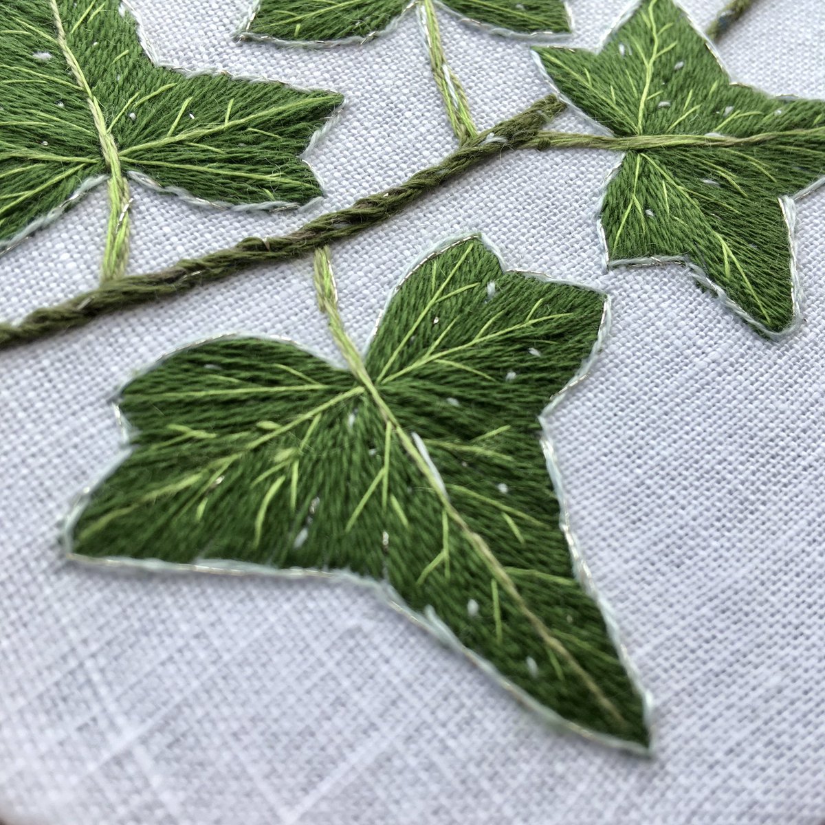 CorArdens's tweet photo. Common Ivy on a frosty day #embroideredhedgerow https://t.co/lKYlV00ES9