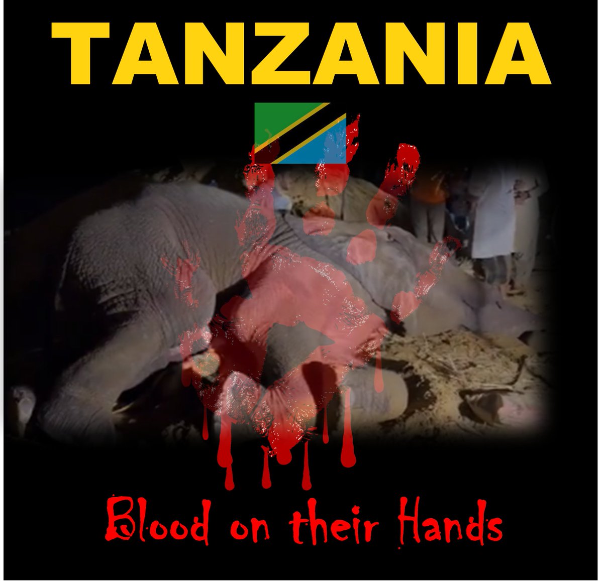 Tanzania also has blood on their hands! They callously ripped elephant calves from their herd killing their mothers & sold them for profit to a state 🇵🇰 incapable of caring for them! @TZTawa @SuluhuSamia #Tanzania #RIPNoorJehan