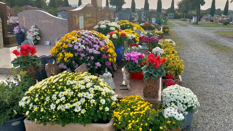 Alain - Sanfilippo tweet media