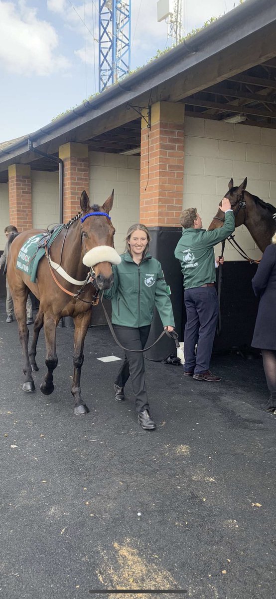 Go on please tell me again how unloved and uncared for these horses are 🙄🤦‍♀️ So much love and pride in one picture here!💙 #StandUpForRacing