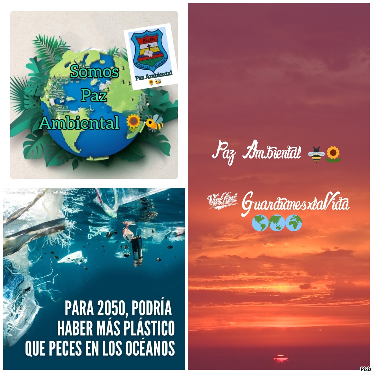 pedronelospina0's tweet photo. Noticias de #Ecoesperanza Gestores Ambientales Rosalía Suárez en Medellín, siguen promoviendo la Paz Ambiental 🐝🌻 y el cuidado de la Vida 🌎 Abril 19 Jornada de #EducacionClimatica y práctica de las 9R, un aporte como @GuardianesXVida https://t.co/VDq8HTDIH0