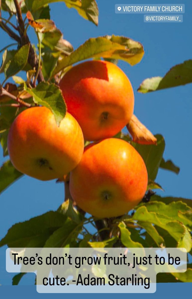 TechRevMarrell's tweet image. #stayconnected #fruitofthespirit