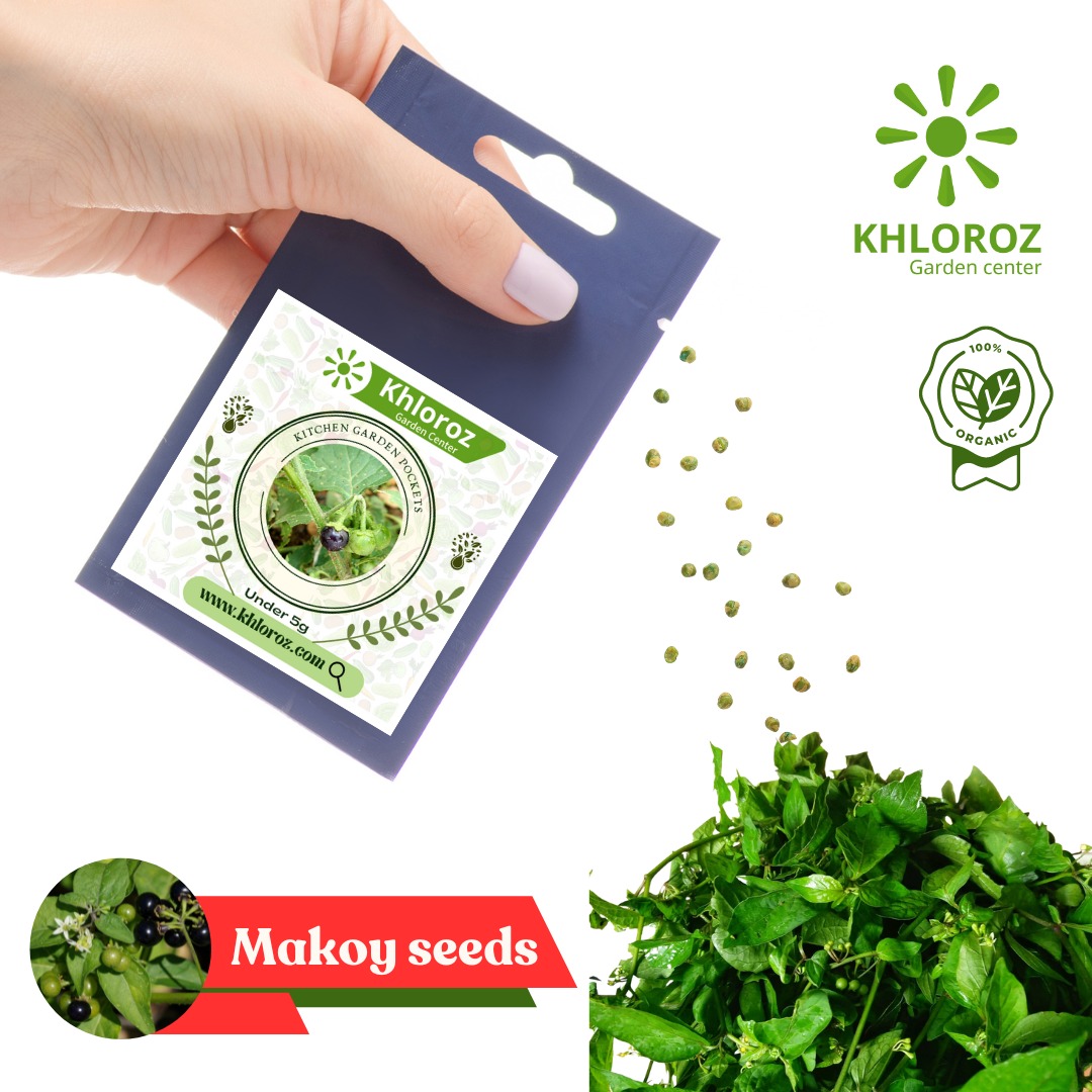 Khlorozinc's tweet image. #Fresharrival #Seeds available. Shop online 🛒
 khloroz.com

#khloroz #spleenamaranthus #Arakeeraiseeds #Tropicalamaranthus #Sirukeeraiseeds #Manathakkaliseeds #Makoyseeds #corianderseeds #kothamalliseeds #vidhaigal @VijaySethuOffl @varusarath5 @Karthi_Offl