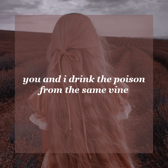 darkgodswrites's tweet photo. you and i drink the poison from the same vine [1/18] | E | 7k | daemyra au

https://t.co/CJyTGBH7xH https://t.co/Q2wl7D6vJj