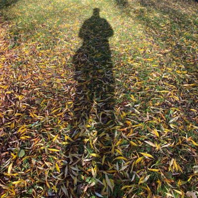 paulchallacombe's tweet photo. #NewProfilePic https://t.co/3dhJ7APMv7