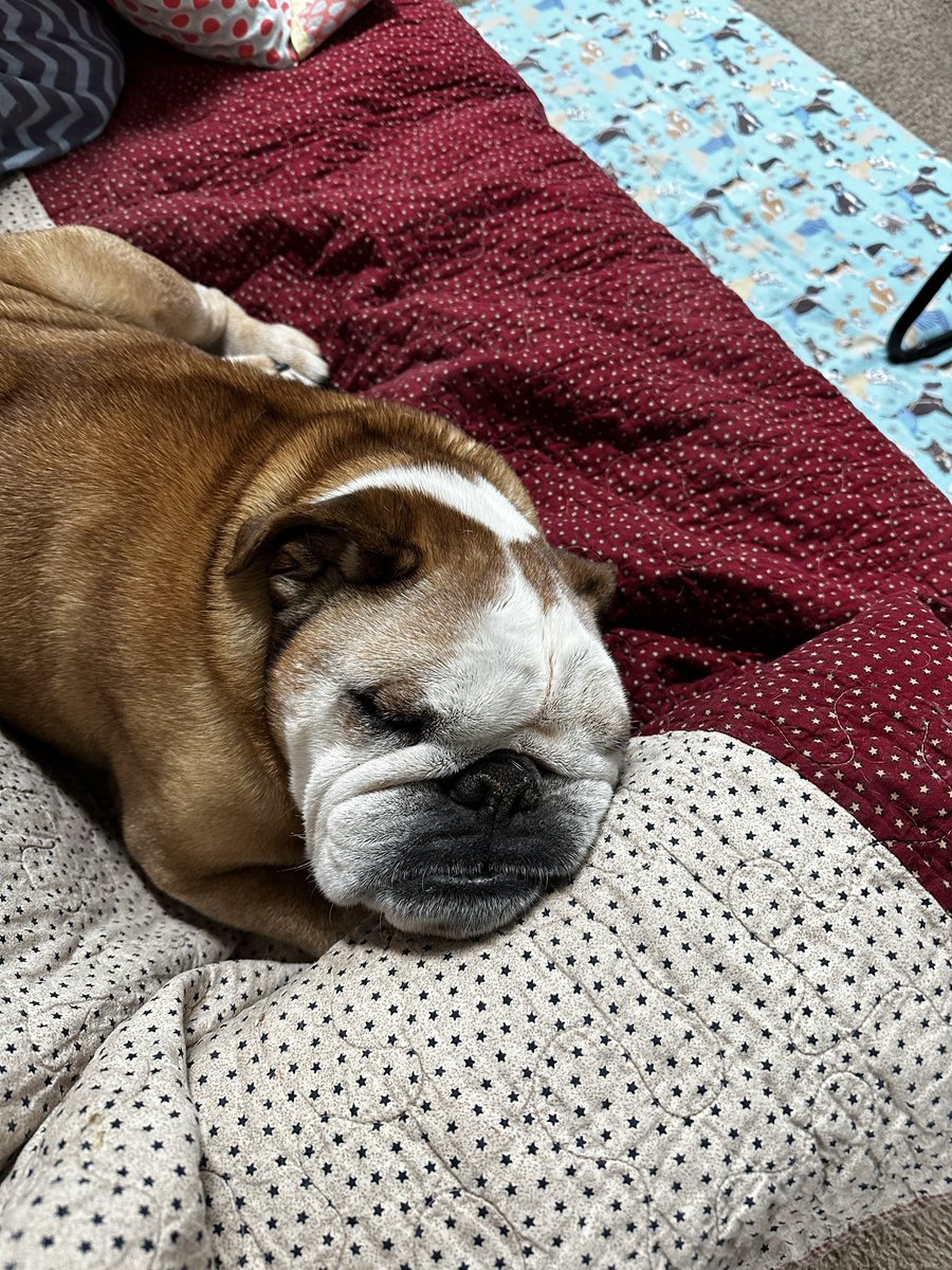 Yes, I’m comfortable