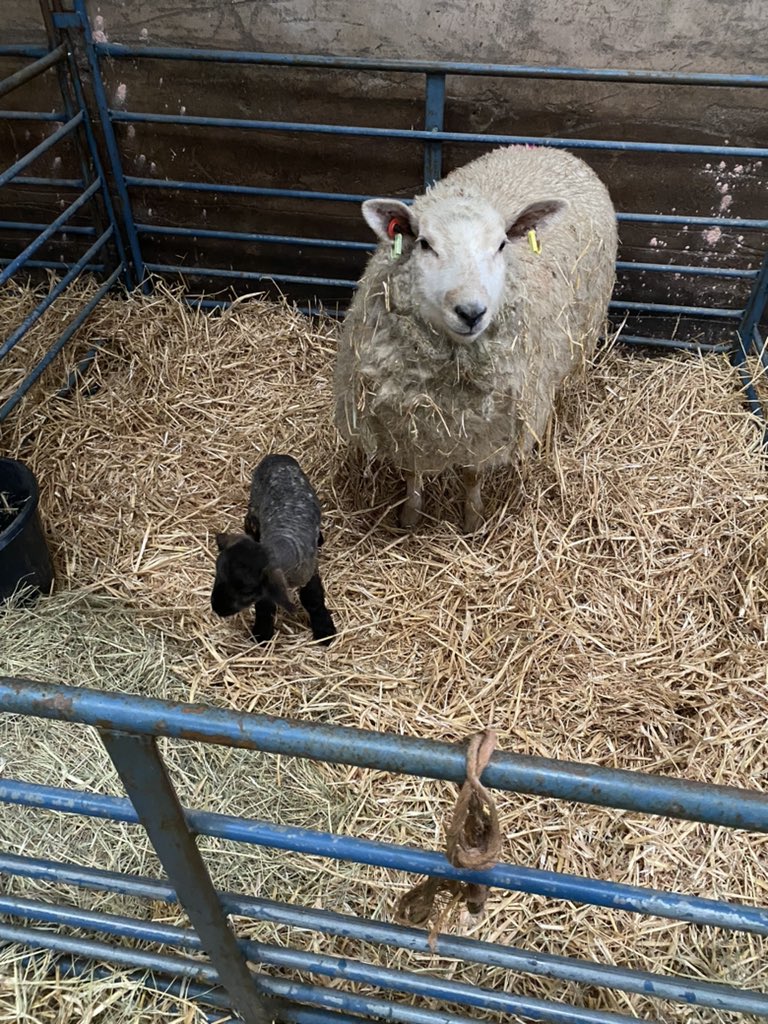 Proud mum this morning!