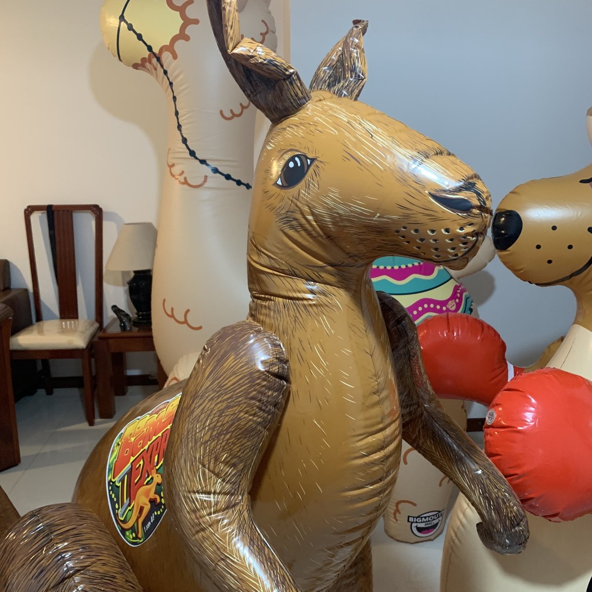 Pkiller661's tweet photo. Vintage LifeWay VBS Kangaroo, canโt remember the year of release, with soft and glossy vinyl.
.
#kangaroo #inflatablekangaroo #roo #sprinkler #infltablesprinkler #bigmouth #llama #inflatable #inflatables #pooltoy #pooltoys #float #floats #floatie #floaties #floaty #floatys https://t.co/ocpA5ykKEo