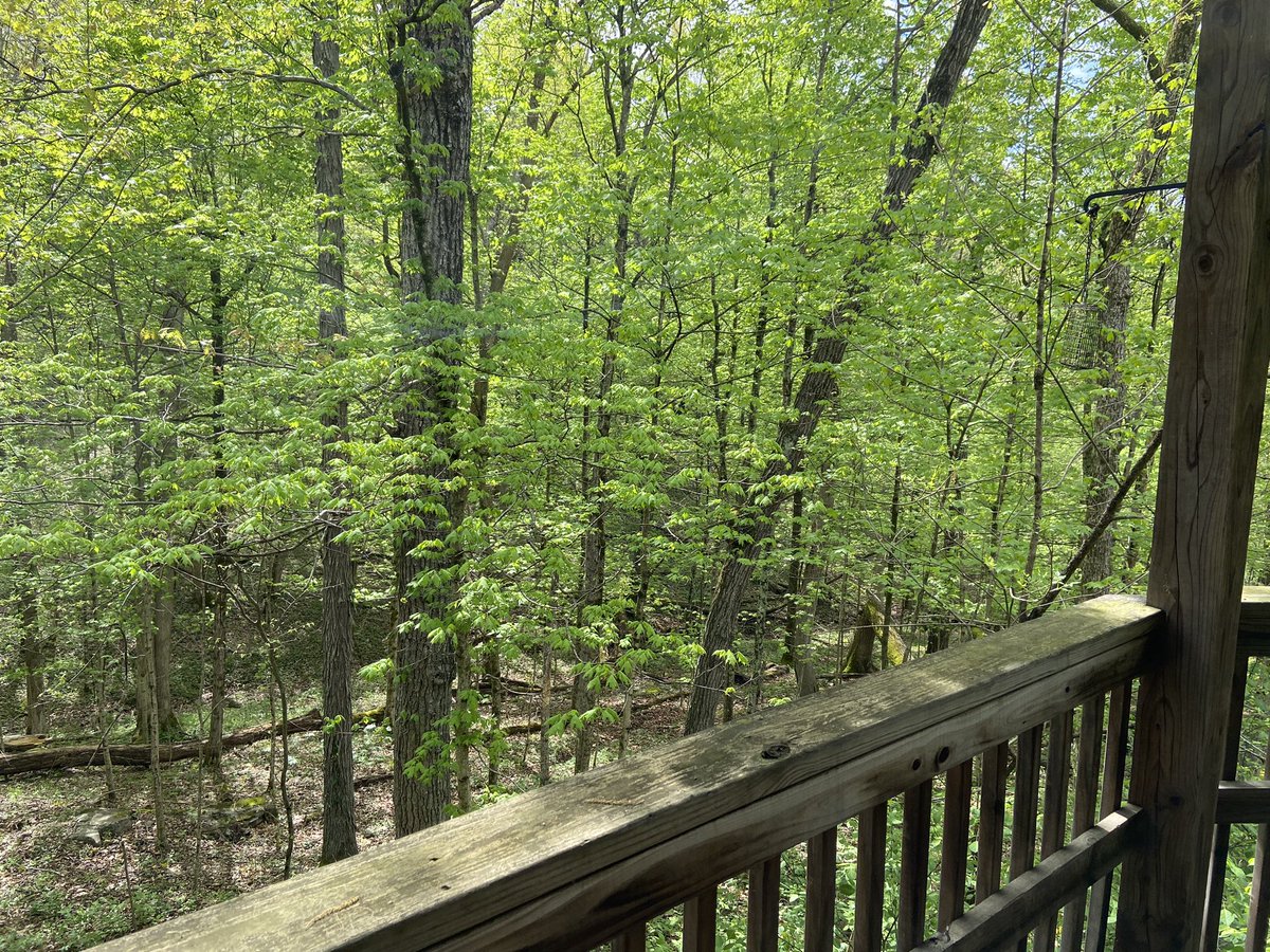 muzykaster's tweet photo. Spring in Kentucky. https://t.co/YQPNpWeHSq