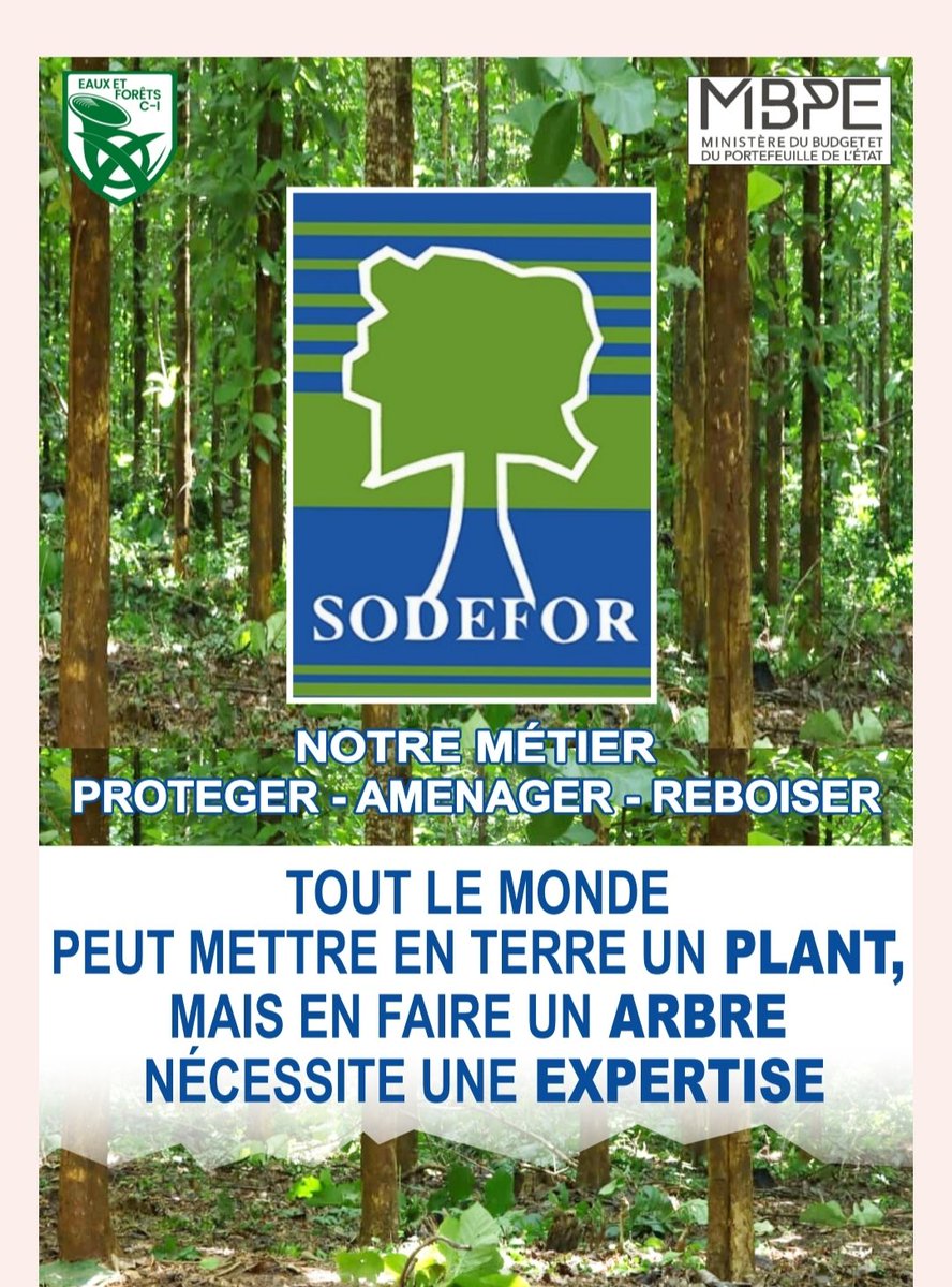 SODEFOR22's tweet image. Le développement forestier est notre métier.