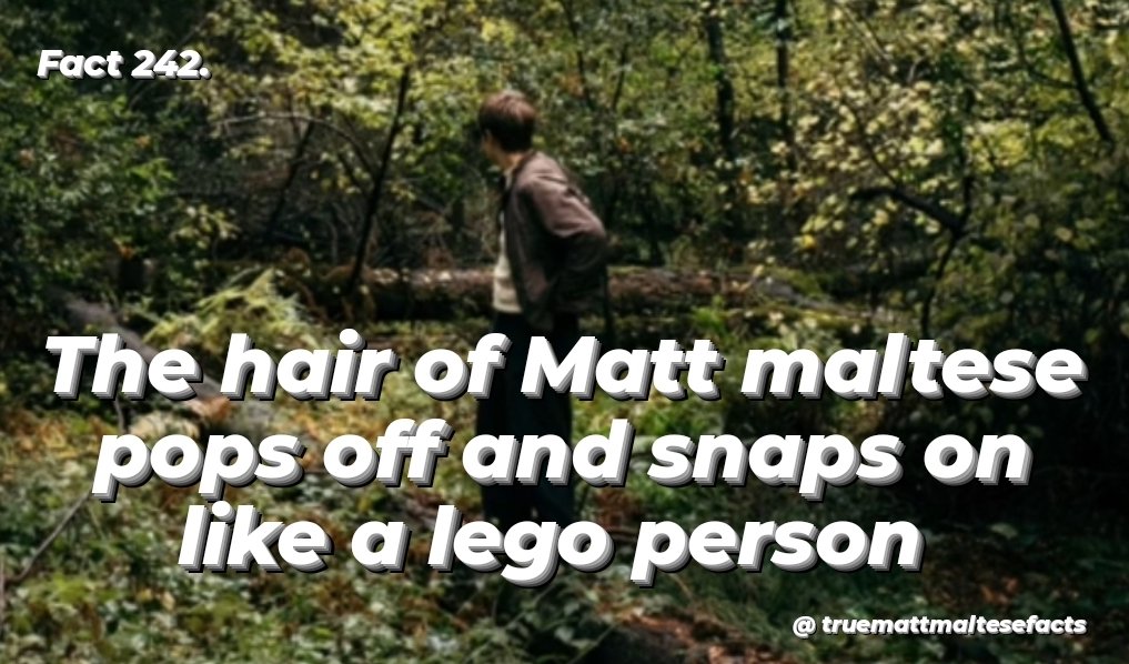 TrueMattMalteseFacts tweet media