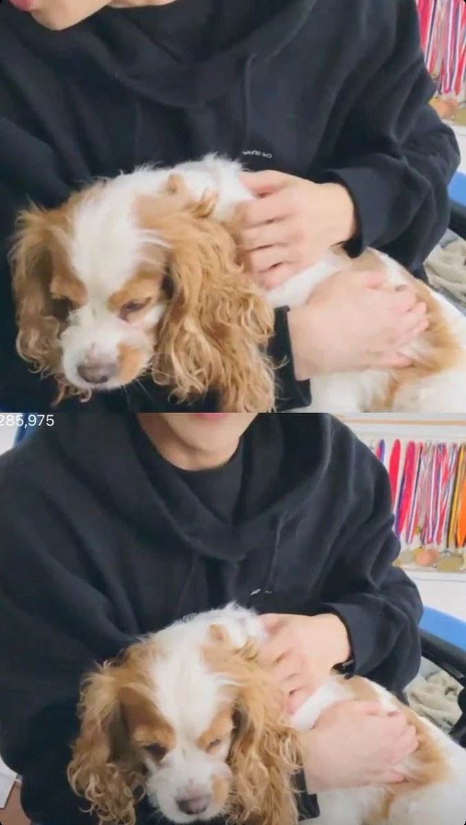 hvmarss's tweet photo. Officially a mom of Berry
#berry #bangchan #pasal #minduh #confi https://t.co/eAOfuWotlV