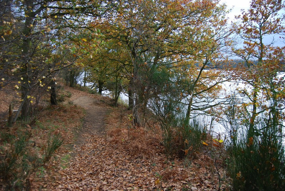 TheSuffolkMan's tweet photo. #BridgeWood #Suffolk @keeper_of_books https://t.co/RBVKFrtIHc