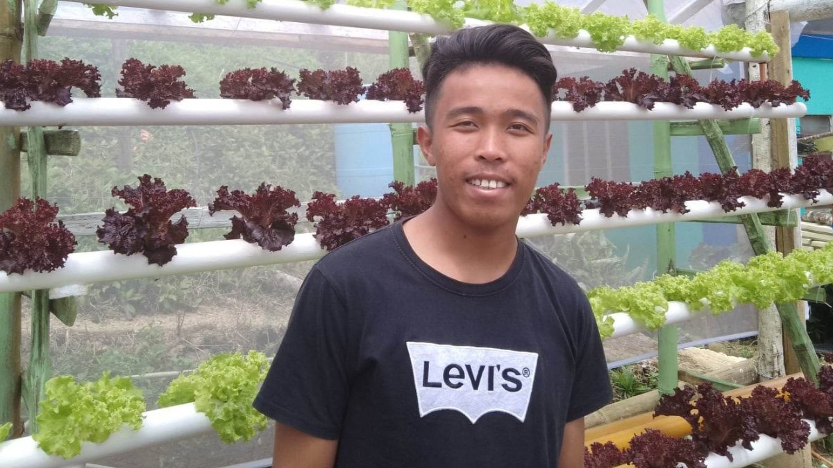 lendwithcare's tweet photo. You might have spotted Reynald Vincent's loan several weeks ago... 

He uses hydroponics to grow lettuce and reports that this allows him to conserve water, save on labour, and produce higher quality and higher yields compared to his old methods! 🥗 🥗 🥗 🥗 https://t.co/pa1O6L5lPq