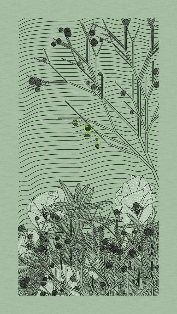 Minting my <a href="/zancan/">zancan 🌿</a> Charcoal Seeds was a fun experience with <a href="/fx_hash_/">fxhash</a>  params.  10/10 would mint a ticket again.  

Charcoal Seeds #276