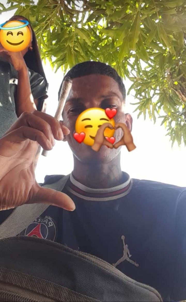Paz império do Rex 🦖🚩✍🐭