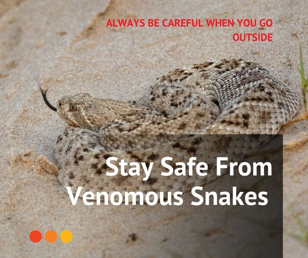 Survival Homes and Gardens tweet media