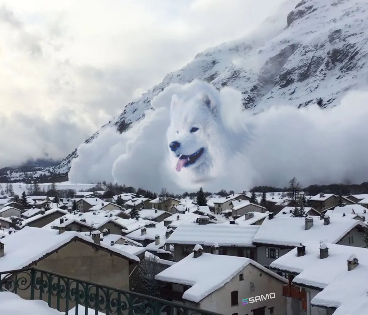 samoyedcoin's tweet photo. gm

#SamoIsComing

(say it back) https://t.co/NsI4DV6cJK