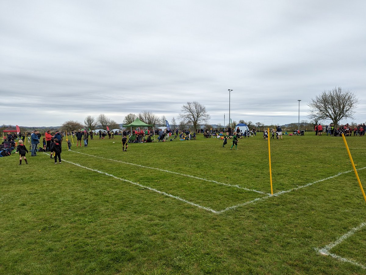 ChewintheCudNut's tweet photo. After a little drizzle first thing, it was a great morning of mini's rugby so thank you to all those at @NorthDorsetRFC for the effort they put it to organise everything. #greentide https://t.co/LuyF7vlSUw